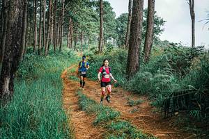 BIB: 
                            <button type="button" onclick="openModal(25659184)" class="btn btn-primary btn-sm float-right btn-popup" data-toggle="modal" data-target=".modal-high-quality">
                        <i class="fas fa-shopping-cart"></i> Add to Cart
                    </button>
                                            <button type="button" onclick="isThisMe(25659184, true)" class="btn btn-success btn-sm float-right btn-popup btn-isme hidden" data-toggle="tooltip" data-placement="bottom" title="นี่คือรูปของคุณใช่ไหม คลิกที่นี่เพื่อเอาเข้าอัลบั้ม">
                        <i class="fas fa-plus"></i> Add to album
                    </button>
                    <button type="button" onclick="isThisMe(25659184, false)" class="btn btn-warning btn-sm float-right btn-popup btn-isnotme hidden">
                        <i class="fas fa-ban"></i> Remove from album
                    </button>